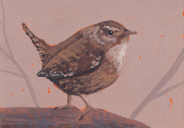 Wren