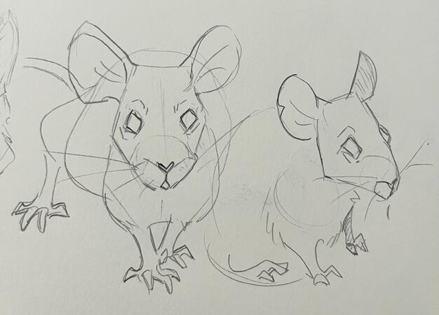 mice