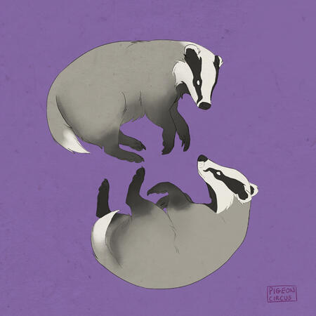Badgers