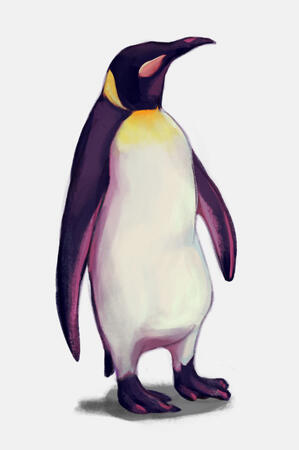Penguin